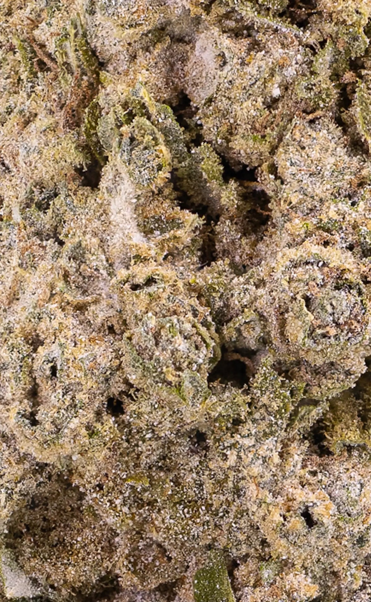 Berry White | 23% THCA