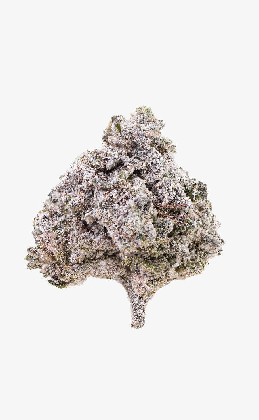 thca cannabis bud