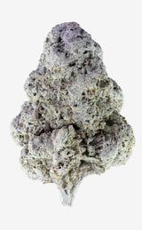Stanky Unicorn | 23% THCA