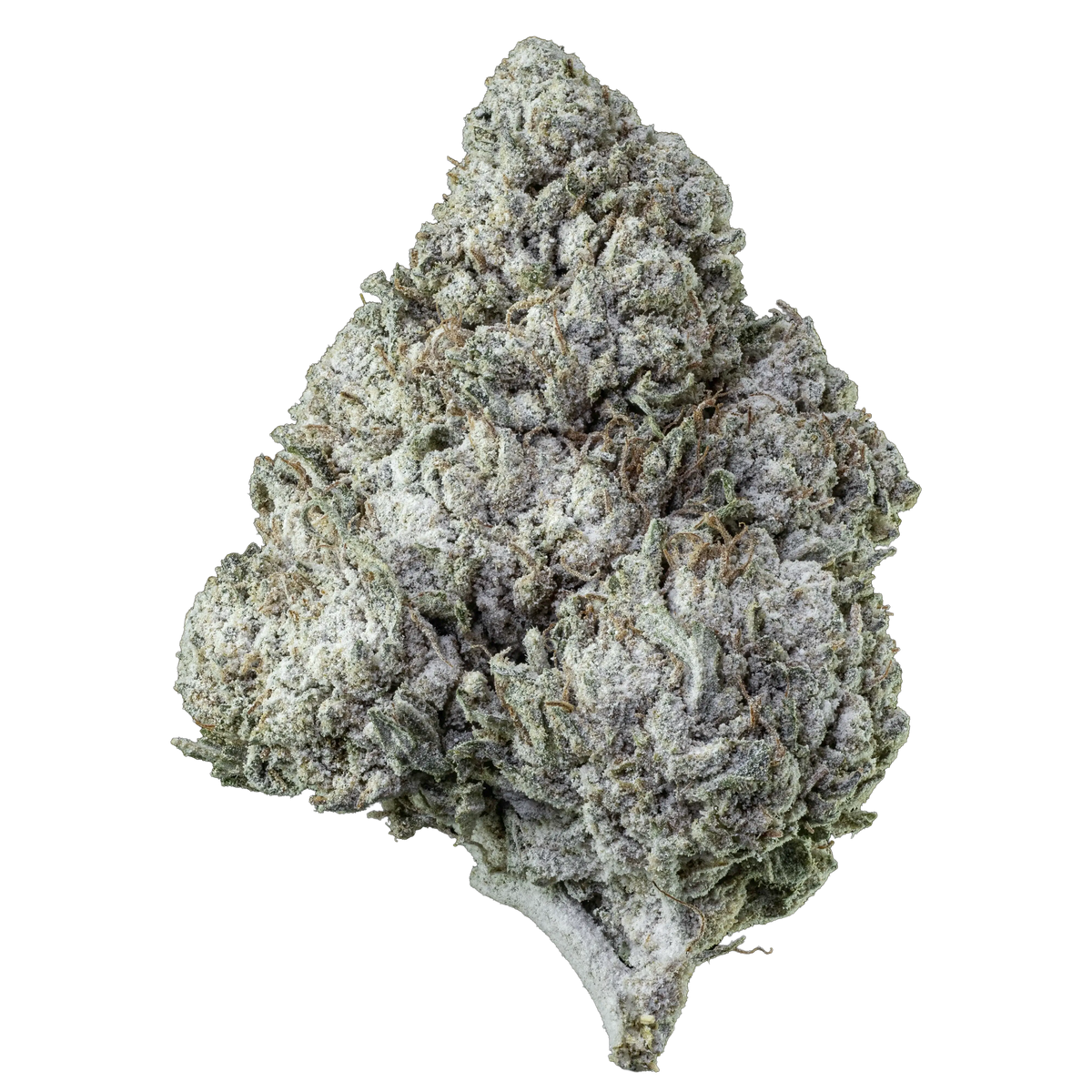 Confezione Herbz Amnesia Haze da 10g con design viola e verde