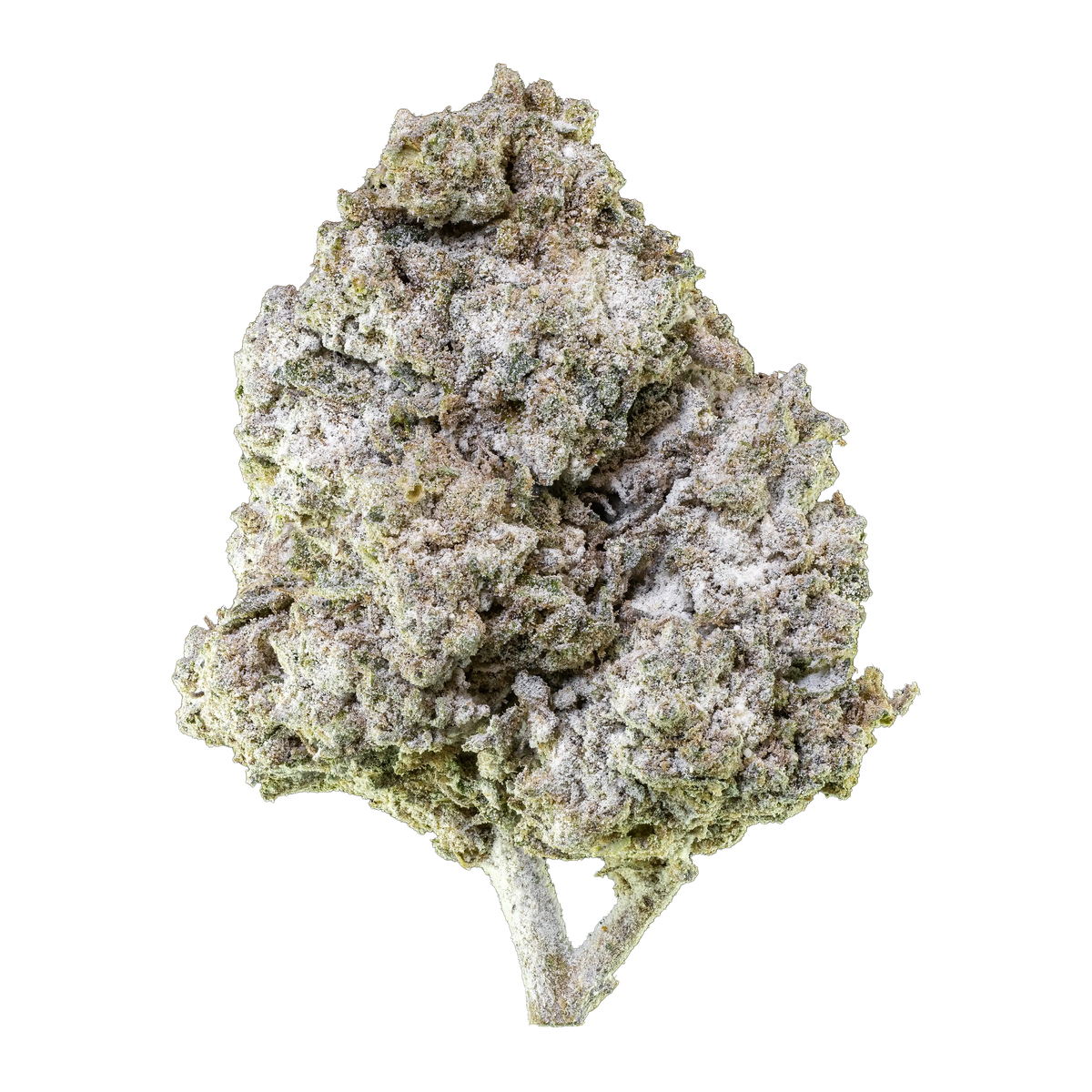 Herbz Thai Haze 10g emballage med grønt og gyldent jungleinspireret design